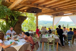 Tour privato delle cantine del Chianti e del Castello di Brolio