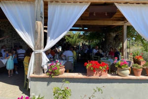 Tour privato delle cantine del Chianti e del Castello di Brolio