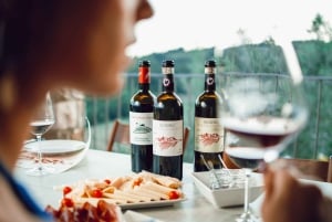 Chianti Winery Tour with Wine & Food Tasting near Florence