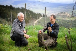 Chianti Winery Tour with Wine & Food Tasting near Florence