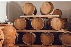 Chianti Winery Tour with Wine & Food Tasting near Florence