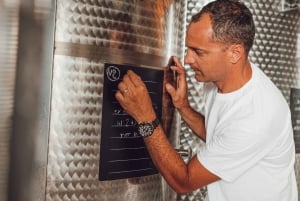 Chianti Winery Tour with Wine & Food Tasting near Florence