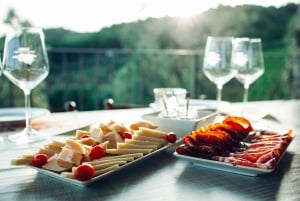 Chianti Winery Tour with Wine & Food Tasting near Florence