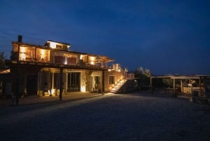 Chianti Winery Tour with Wine & Food Tasting near Florence