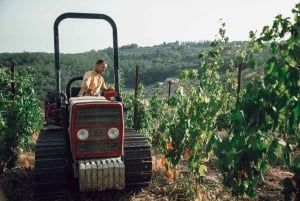 Chianti Winery Tour with Wine & Food Tasting near Florence