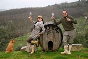 Chianti Winery Tour with Wine & Food Tasting near Florence