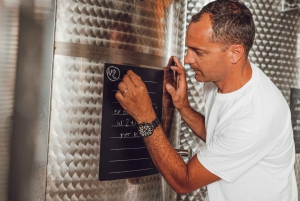 جولة في مصانع النبيذ في شيانتي مع تذوق النبيذ والطعام بالقرب من فلورنسا