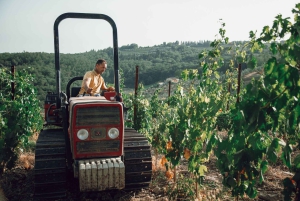 جولة في مصانع النبيذ في شيانتي مع تذوق النبيذ والطعام بالقرب من فلورنسا