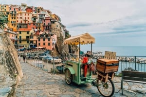 Cinque Terre: Heldags privat tur fra Firenze