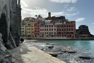 Cinque Terre: Całodniowa prywatna wycieczka z Florencji