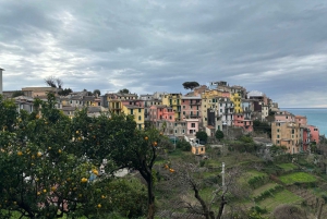 Cinque Terre: Całodniowa prywatna wycieczka z Florencji