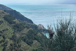 Cinque Terre: Całodniowa prywatna wycieczka z Florencji