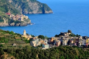 Cinque Terre: Privat heldagstur fra Firenze