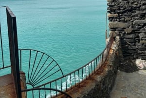 Cinque Terre: Privat heldagstur fra Firenze