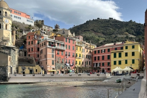 Cinque Terre: Privat dagsutflykt från Florens