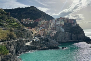 Cinque Terre: Privat dagsutflykt från Florens