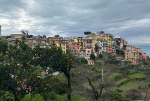 Cinque Terre: Privat dagsutflykt från Florens