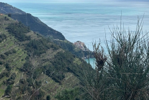 Cinque Terre: Privat dagsutflykt från Florens