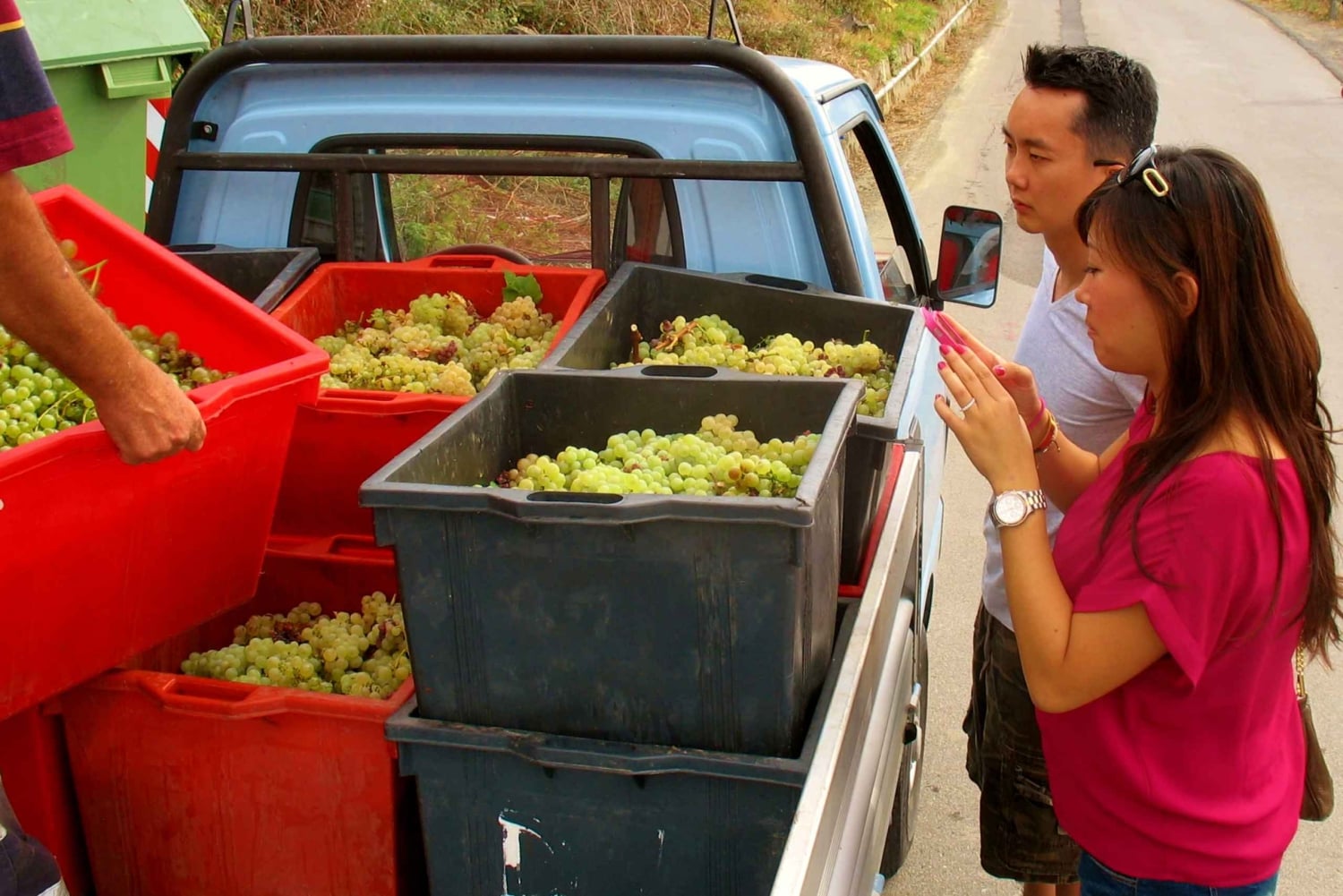 Excursion privée d'une journée dans les Cinque Terre au départ de Florence