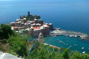 Excursion privée d'une journée dans les Cinque Terre au départ de Florence