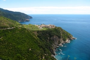 Excursion privée d'une journée dans les Cinque Terre au départ de Florence