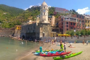 Excursion privée d'une journée dans les Cinque Terre au départ de Florence