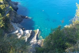 Excursion privée d'une journée dans les Cinque Terre au départ de Florence