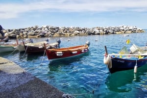 Excursion privée d'une journée dans les Cinque Terre au départ de Florence
