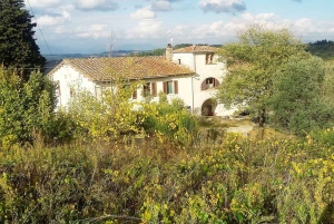 伝統的なトスカーナ農場で料理教室