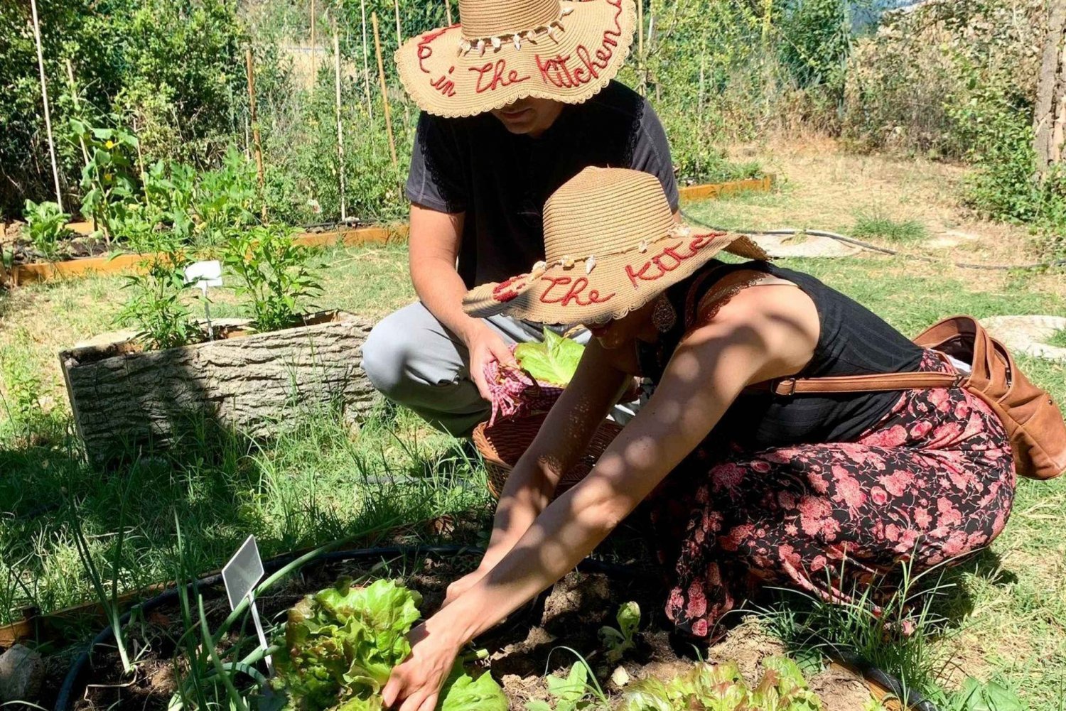 Tuscany: Cooking, Dinner & Live Opera in the countryside