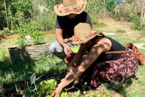 Tuscany: Cooking, Dinner & Live Opera in the countryside