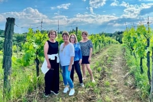 Tuscany: Cooking, Dinner & Live Opera in the countryside