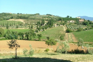 Cycling in Tuscany is TOP experience 1 day race bike rental
