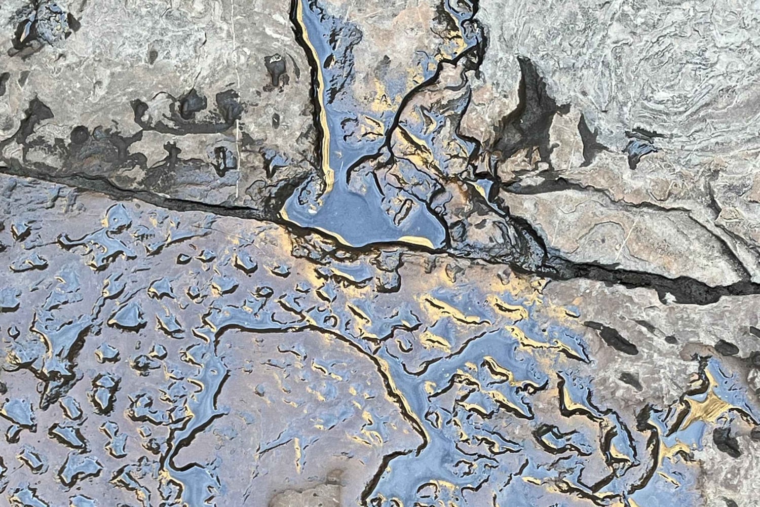 Firenze di Dante: tour guidato tra Inferno, Paradiso e la sua vita