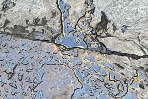 Firenze di Dante: tour guidato tra Inferno, Paradiso e la sua vita