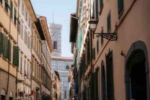 Excursão VIP ao David e ao Duomo com acesso exclusivo ao terraço e à cúpula