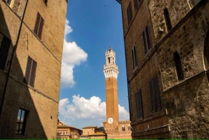Jednodniowa wycieczka do Sieny i San Gimignano z Florencji