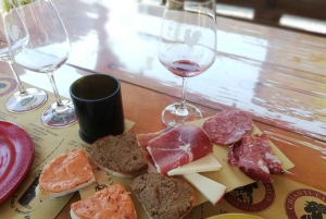 Descubre Florencia con una cata de vinos como un florentino más.