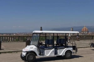 Upptäck Florens charm: Privat rundtur med elektrisk minibil