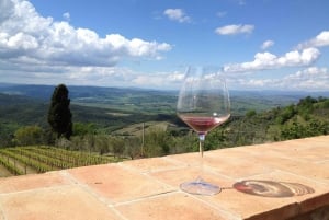 Discover Small Organic and Biodynamic Brunello Wineries