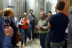 Discover Small Organic and Biodynamic Brunello Wineries