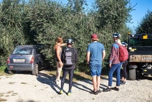 E-bike 2.5 hour Florence hills tour with olive oil tasting