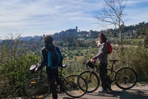 E-bike 2,5 uur in de heuvels van Florence met olijfolieproeverij