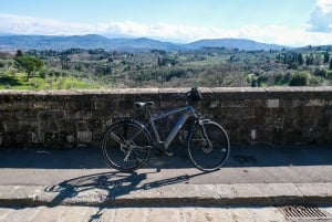 E-pyörä 2,5 tunnin kierros Firenzen kukkuloilla ja oliiviöljyn maistelu