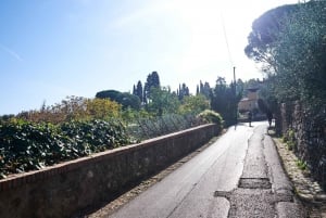 Excursion de 2,5 heures sur les collines de Florence en E-bike avec dégustation d'huile d'olive