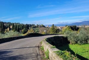 Passeio de 2,5 horas de bicicleta elétrica pelas colinas de Florença com degustação de azeite de oliva