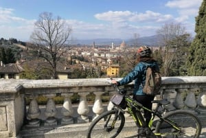 Tour en bicicleta eléctrica de 2,5 horas por las colinas de Florencia con degustación de aceite de oliva