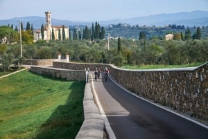 Excursion en E-bike dans le Chianti Classico et en Toscane avec déjeuner à la ferme