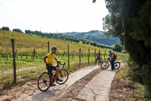 Tour en bicicleta eléctrica por el Chianti Classico y la Toscana con almuerzo en la granja
