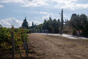 E-bike Chianti Classico och Toscana-tur med lunch på bondgård